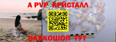 стаф Сланцы