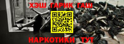 стаф Сланцы