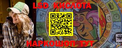 стаф Сланцы