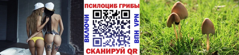 Галлюциногенные грибы Psilocybine cubensis  Нефтекамск 