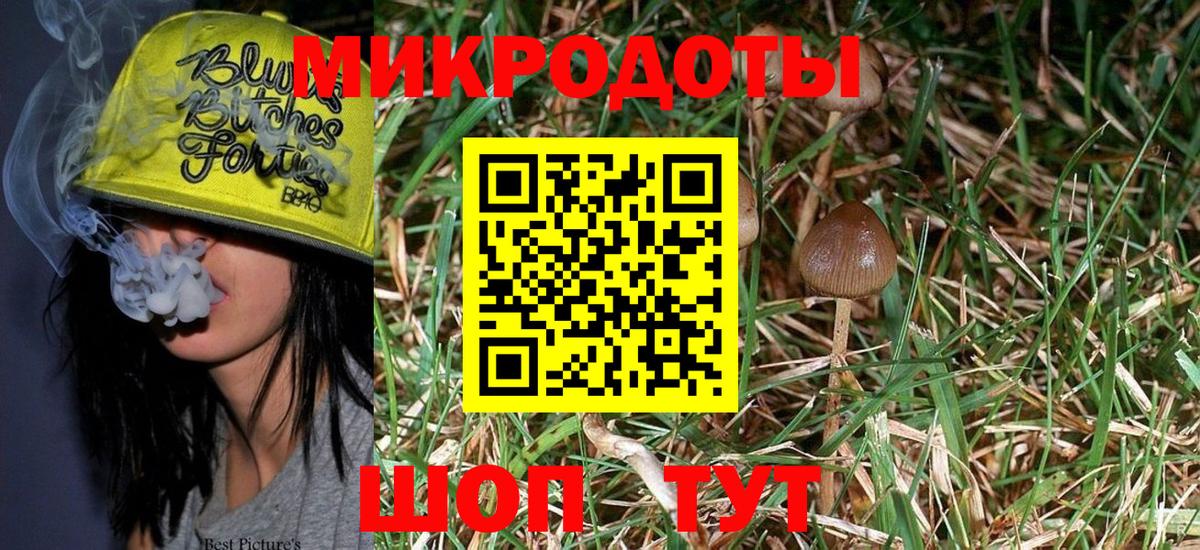 Нефтекамск  Галлюциногенные грибы Psilocybine cubensis  Псилоцибиновые грибы Psilocybe  Вход с VPN 